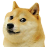 doge.png