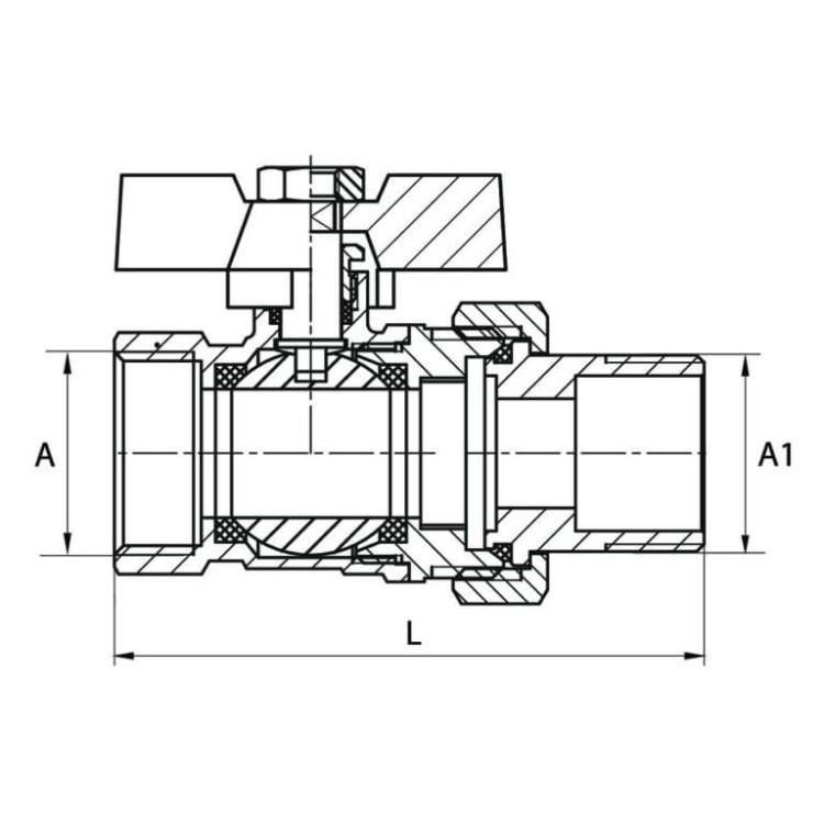 ART.2424-B.jpg